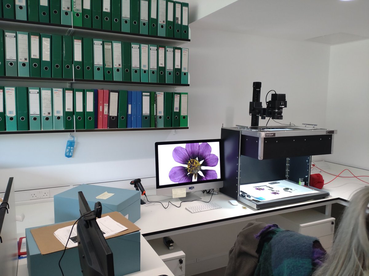 Andy Salisbury tweet media