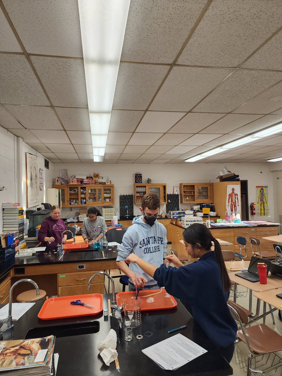CParsio's tweet photo. Modeling the cell membrane phospholipid bilateral. Making structural and functional connections! @SomervilleHSNJ Love my #APBio students #MsPScience #GoonSquad https://t.co/KTXVQ5jqpQ