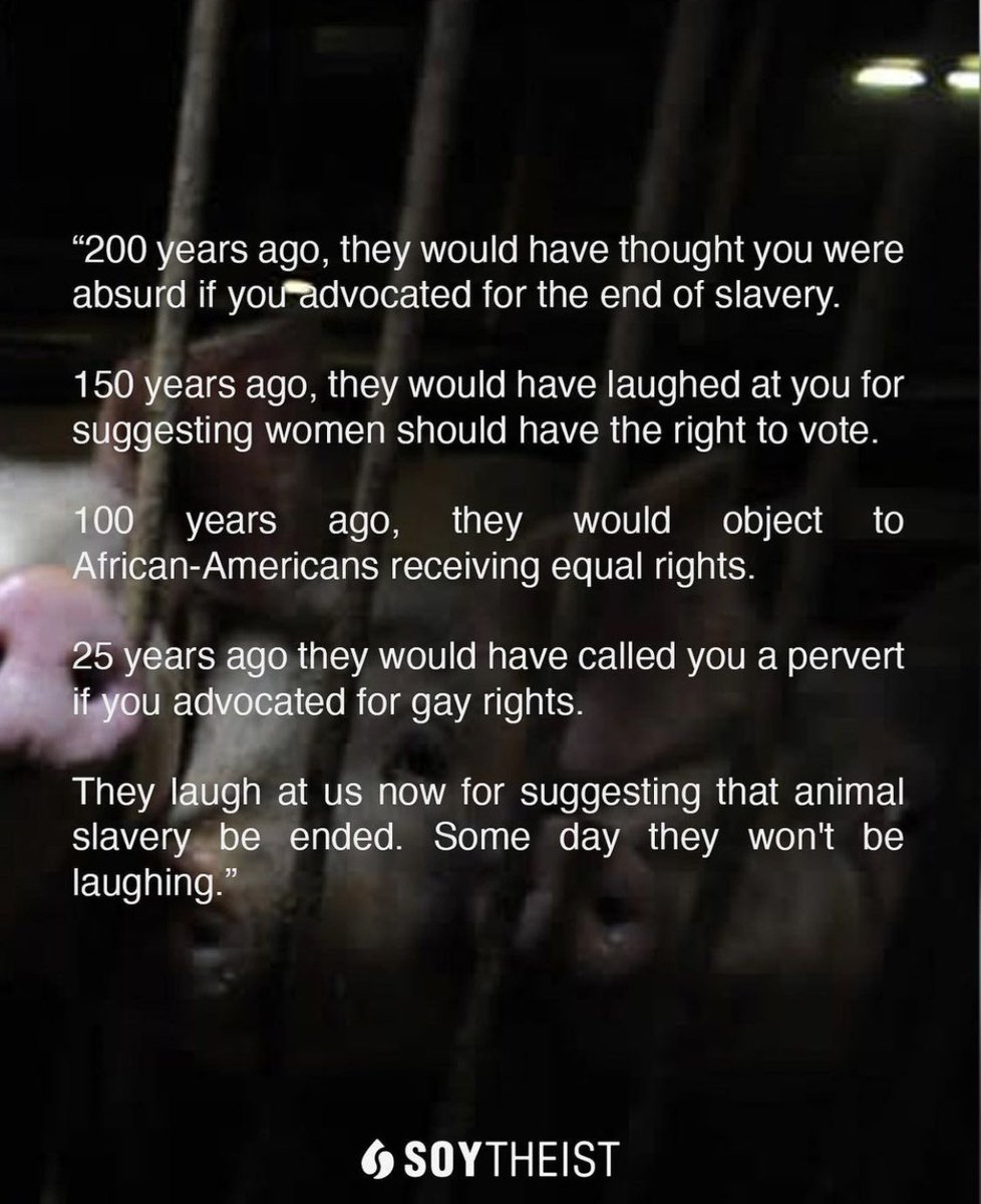 Some day … 🌱❤️🌎

#vegan #govegan