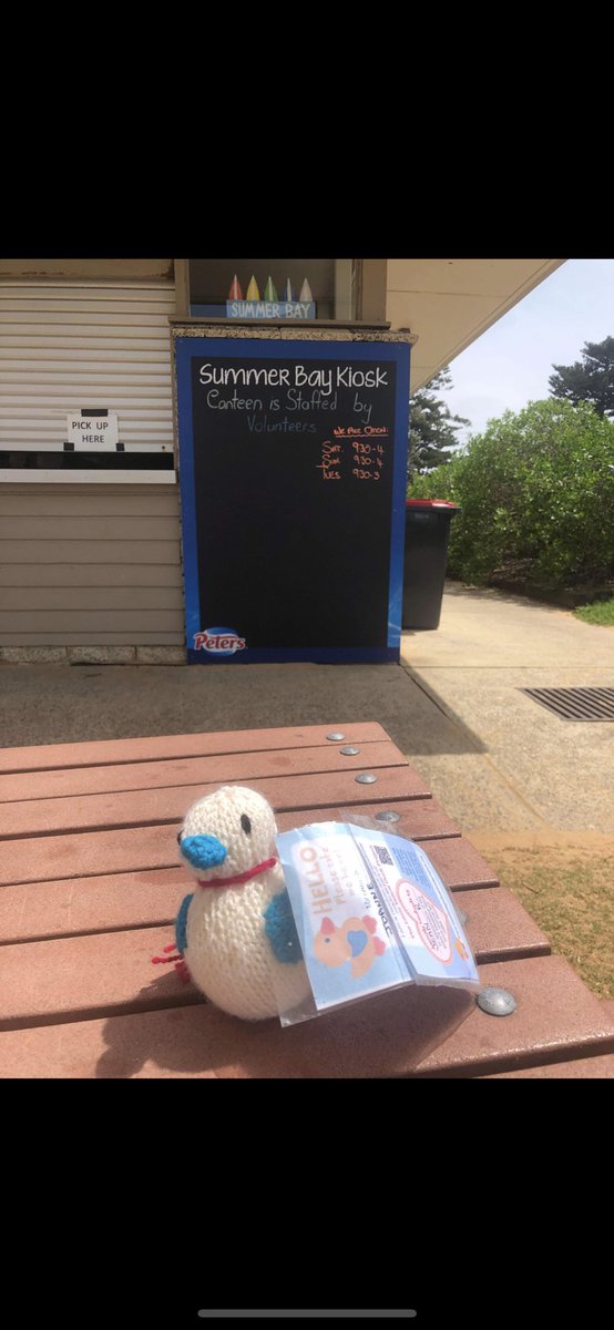 Some of our ducks just casually chilling on the Home and Away set - Summer Bay Kiosk!🇦🇺🦘🌏