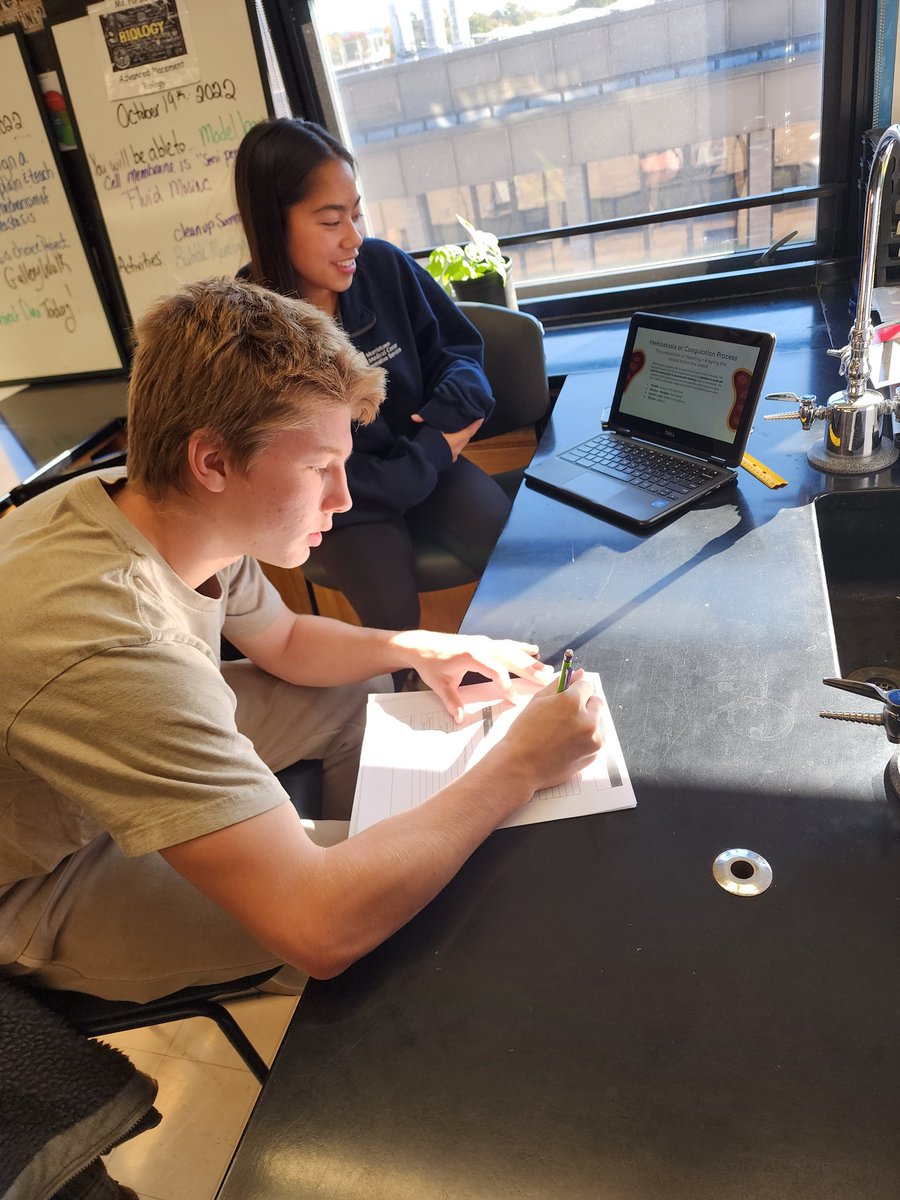 CParsio's tweet photo. When students teach eachother about feedback mechanisms through a topic they are passionate about, they make me so proud! This is powerful learning! #AnatomyPhysiology @SomervilleHSNJ #MsPScience #SHSAnatomyP4 https://t.co/N6Wa8slRh0
