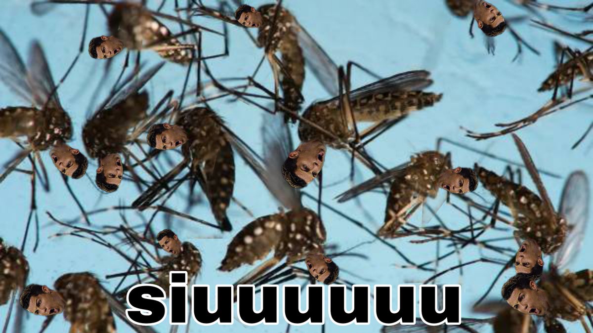 C va la corriente*
Los bichos: