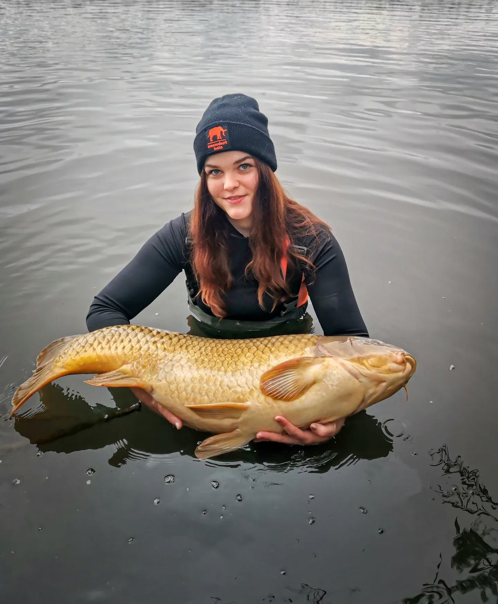 Riva_k86's tweet photo. Name the fish!
#fishing #fishinglife #Outdoors #adventure https://t.co/cZSKYCRtzn