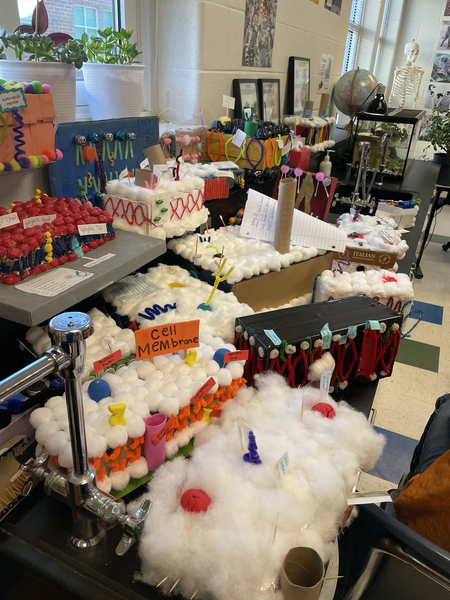 Mr. Shidell’s Biology classes created some awesome cell membrane projects! #WeAreCuCPS