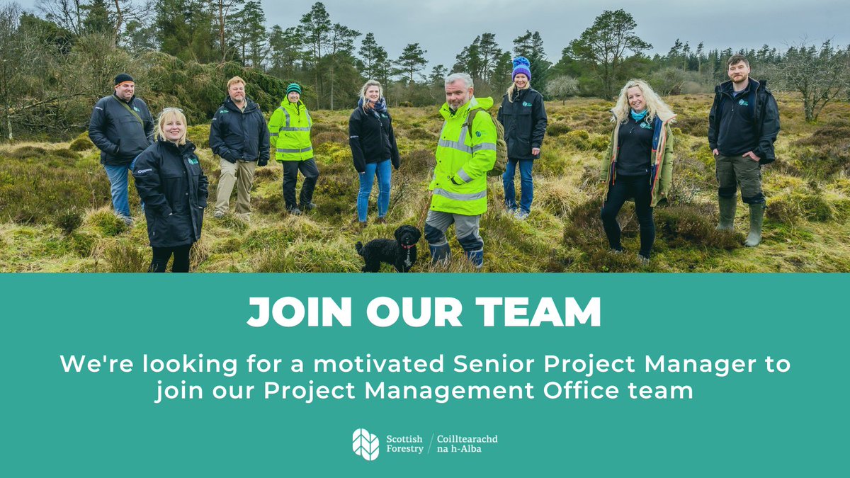 Are you interested in a career at Scottish Forestry?

There's still time to apply for an exciting new role as Senior Project Manager to lead on flagship improvement projects. 

Find out more here 👉 forestry.gov.scot/live-vacancies