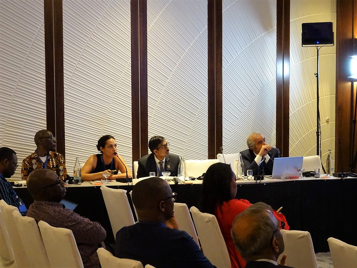 "#SDG4 cannot be achieved if disparities persist, if equity is not placed at the centre of all policies and budgeting, and if targeted strategies are not put first," says IIEP’s <a href="/carolinaalbanc/">Carolina Albán Conto</a> at the Pre-Launch of the joint CESA-SDG4 Continental Report at #ADEA2022Triennale.