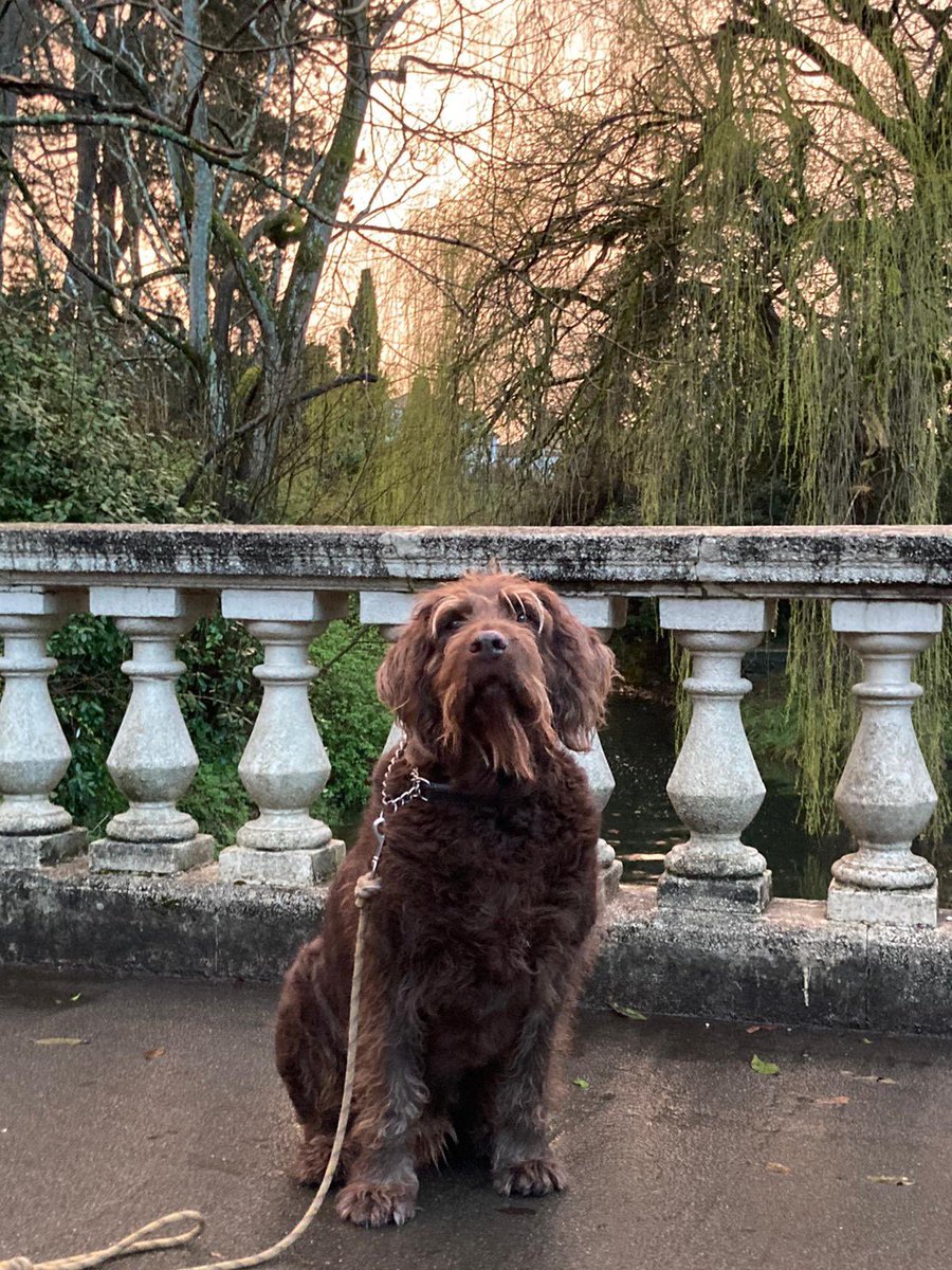 Elizabeth Gregory tweet media