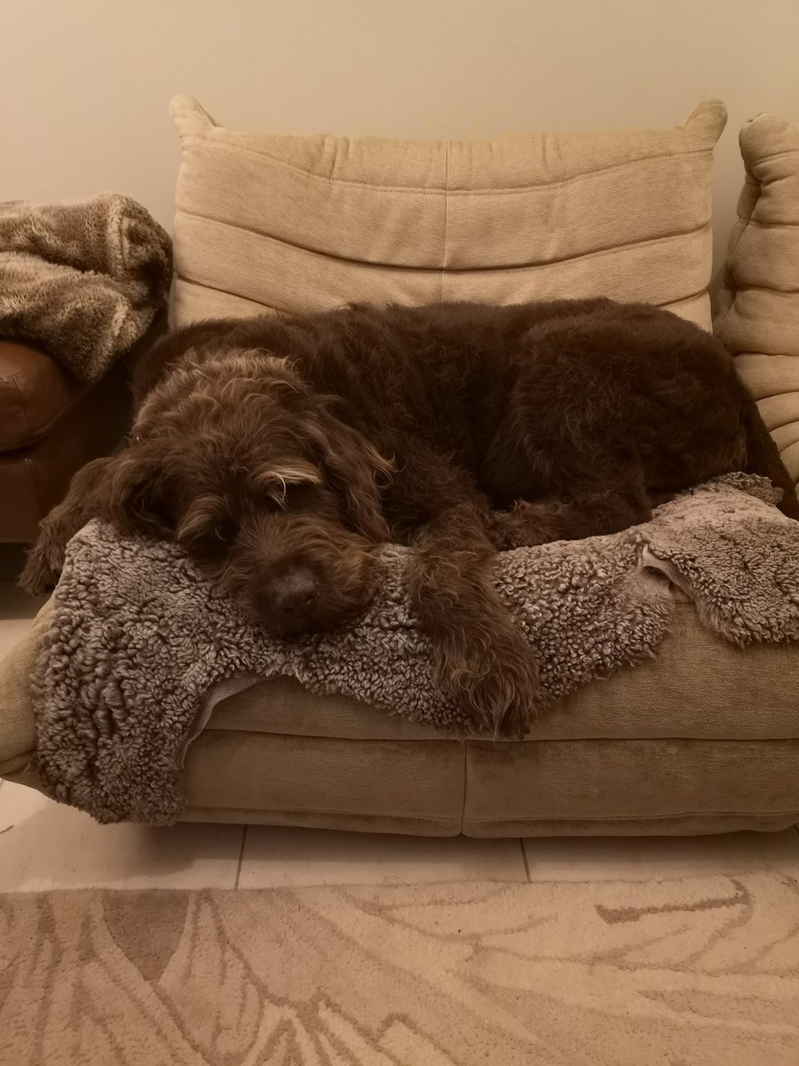 Elizabeth Gregory tweet media