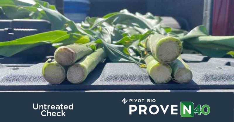 pivotbio's tweet photo. Ready to turn to a better nitrogen? Download our performance report to see what Pivot Bio PROVEN 40 could do for your operation.