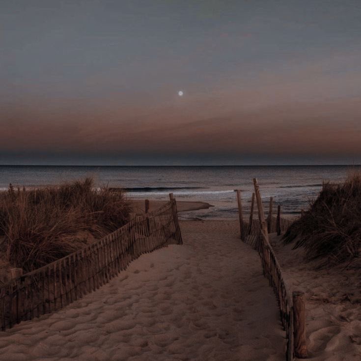 obxhcs's tweet photo. jj likes to go on walks and he usually takes his camera with him. he takes photos of everything he likes and when he goes back to the chateau, he can’t wait to show the pogues ( mostly pope ) the photos he took ❤️‍🩹 - alo https://t.co/Ha53E8g5J6