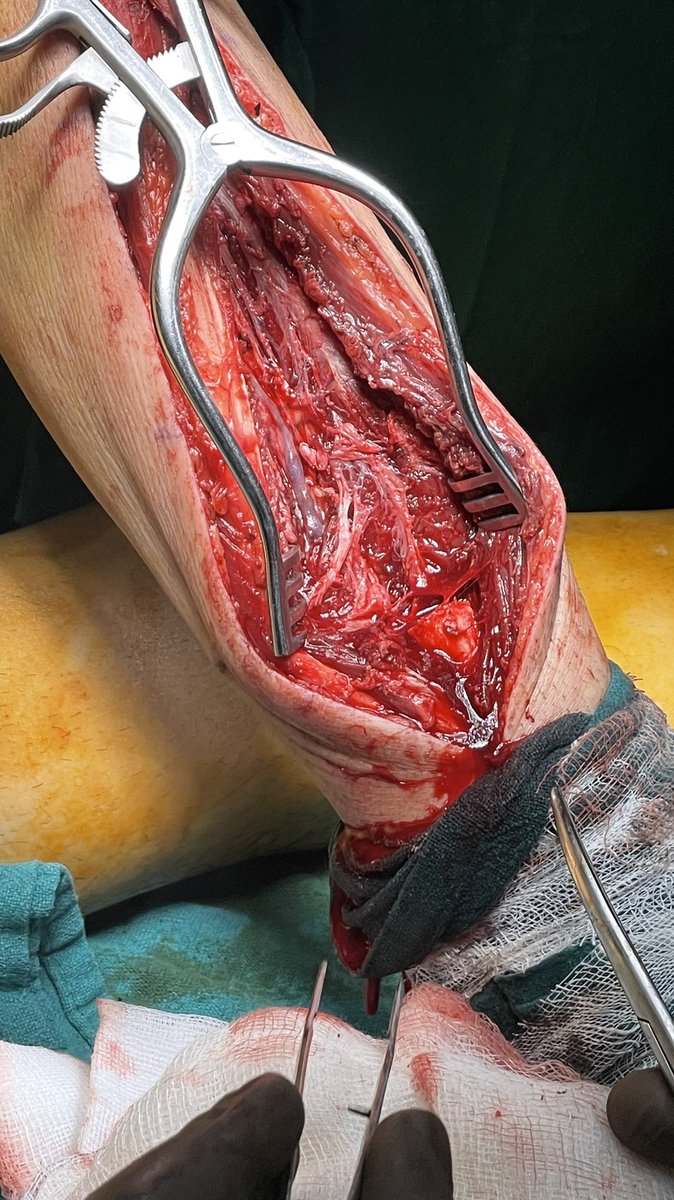 Dr Himanshu Verma tweet media