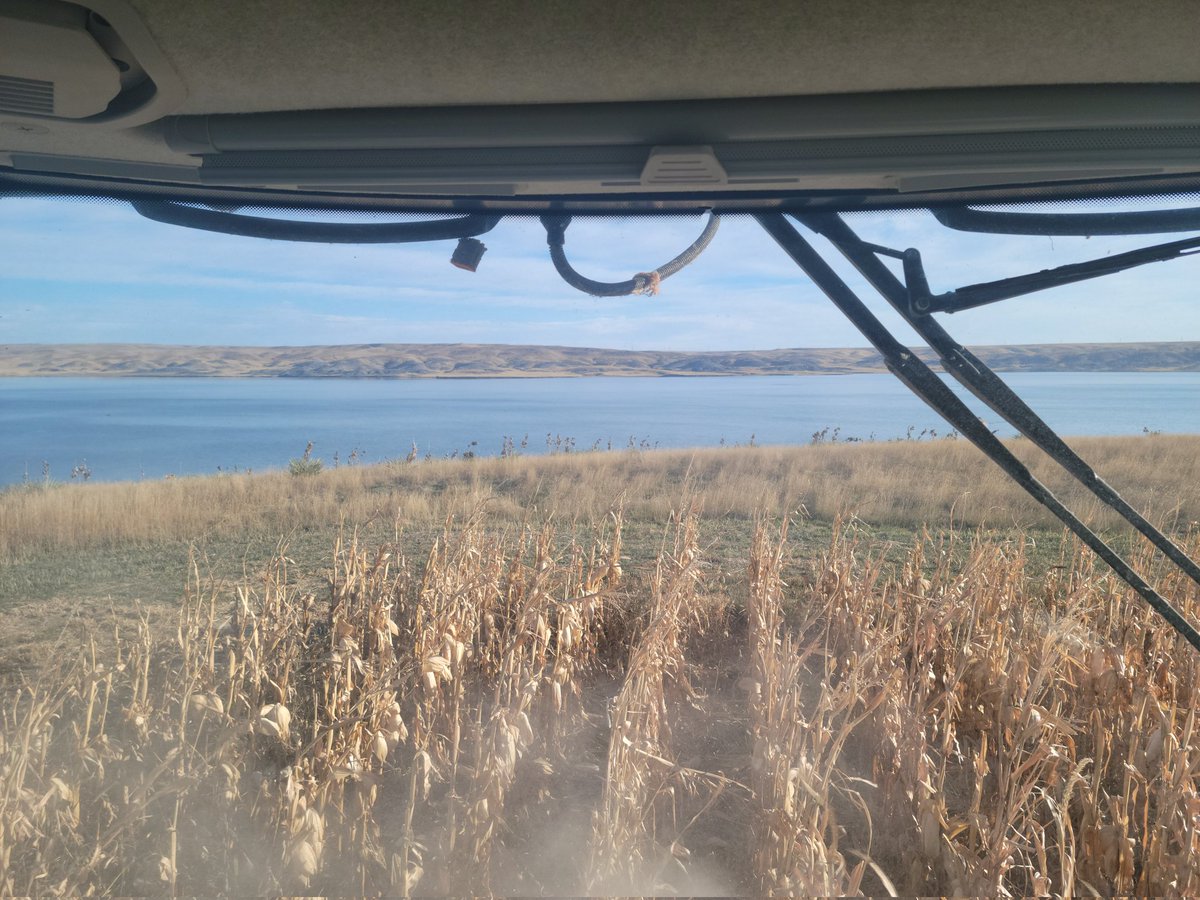 Burull605's tweet photo. Hell of an office view, let's go fishing instead. https://t.co/tcsfTKOKGd