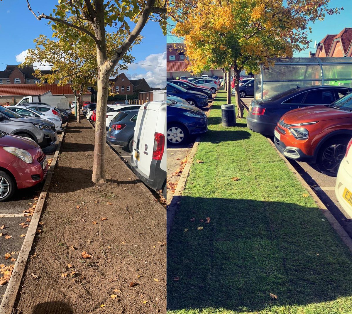 pro_mdx's tweet photo. A little bit of colour makes such a difference! Turfing job completed today by the Pro Landscape team #turf #landscaping #SoftLandscaping https://t.co/DuZQ7LcWM4