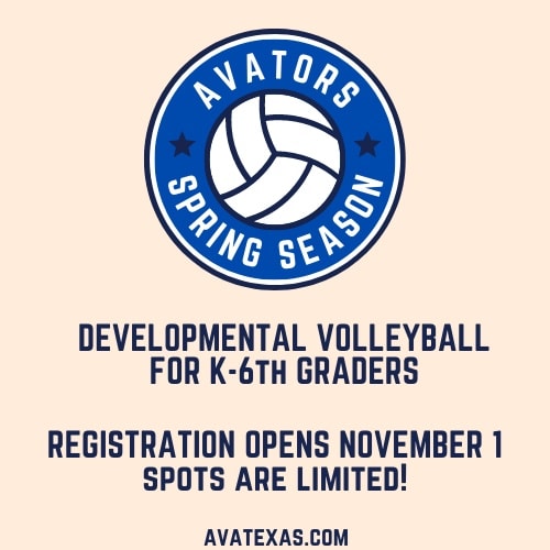 avatxvolleyball's tweet photo. AVAtors Spring Season registration will open soon!! Here we go!
#avators #development #youth #volleyball https://t.co/OMROV8xtCY