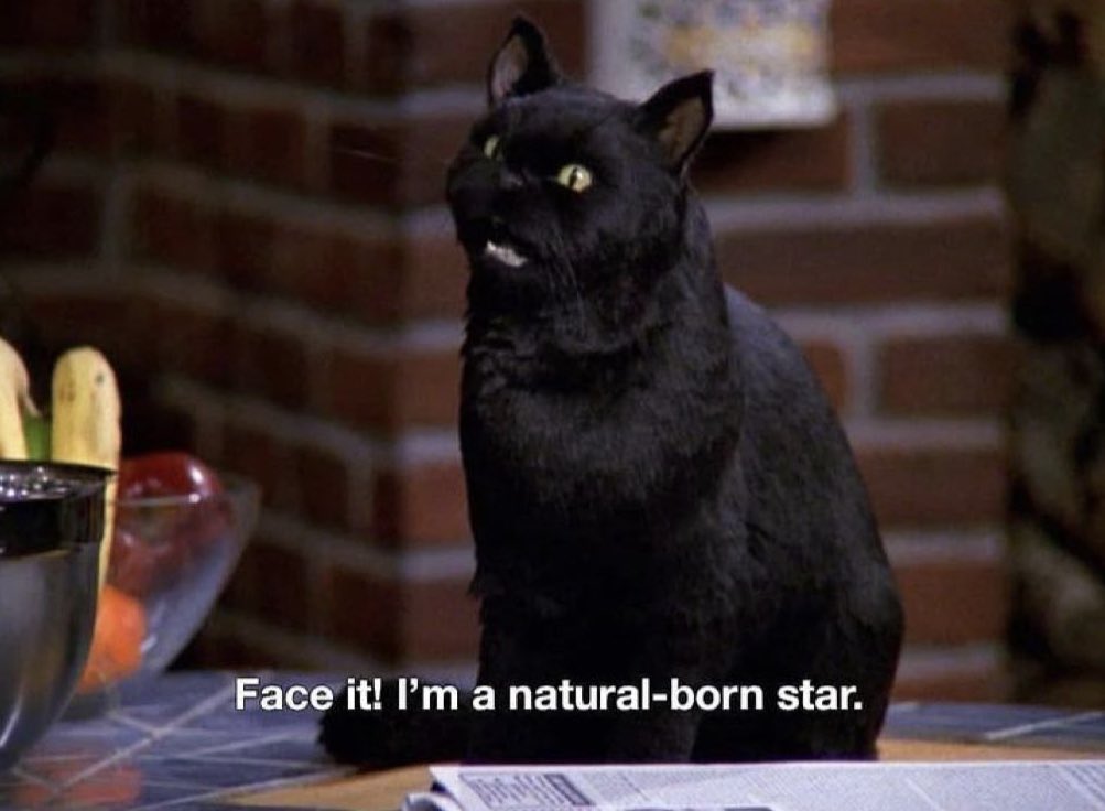 markhelmsing's tweet photo. Here for a Salem/Pearl crossover https://t.co/SrKbzL9Ypy
