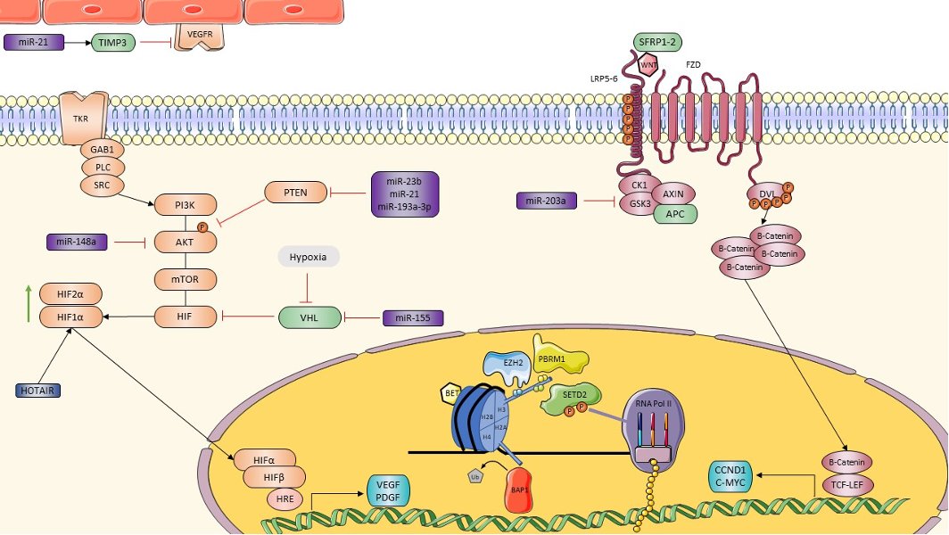 drenriquegrande's tweet photo. 🎙️Amazing review by @JaviMolinaC & @T_AlonsoGordoa
Very grateful to be here with friends like @fmassari79 @DrIgnacioOrtego & #MatteoSantoni bringing some insights of new epigenetic drugs under development in mRCC field. https://t.co/QpwvicO9Ua