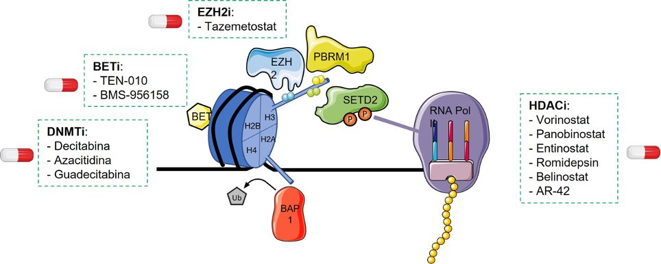 drenriquegrande's tweet photo. 🎙️Amazing review by @JaviMolinaC & @T_AlonsoGordoa
Very grateful to be here with friends like @fmassari79 @DrIgnacioOrtego & #MatteoSantoni bringing some insights of new epigenetic drugs under development in mRCC field. https://t.co/QpwvicO9Ua