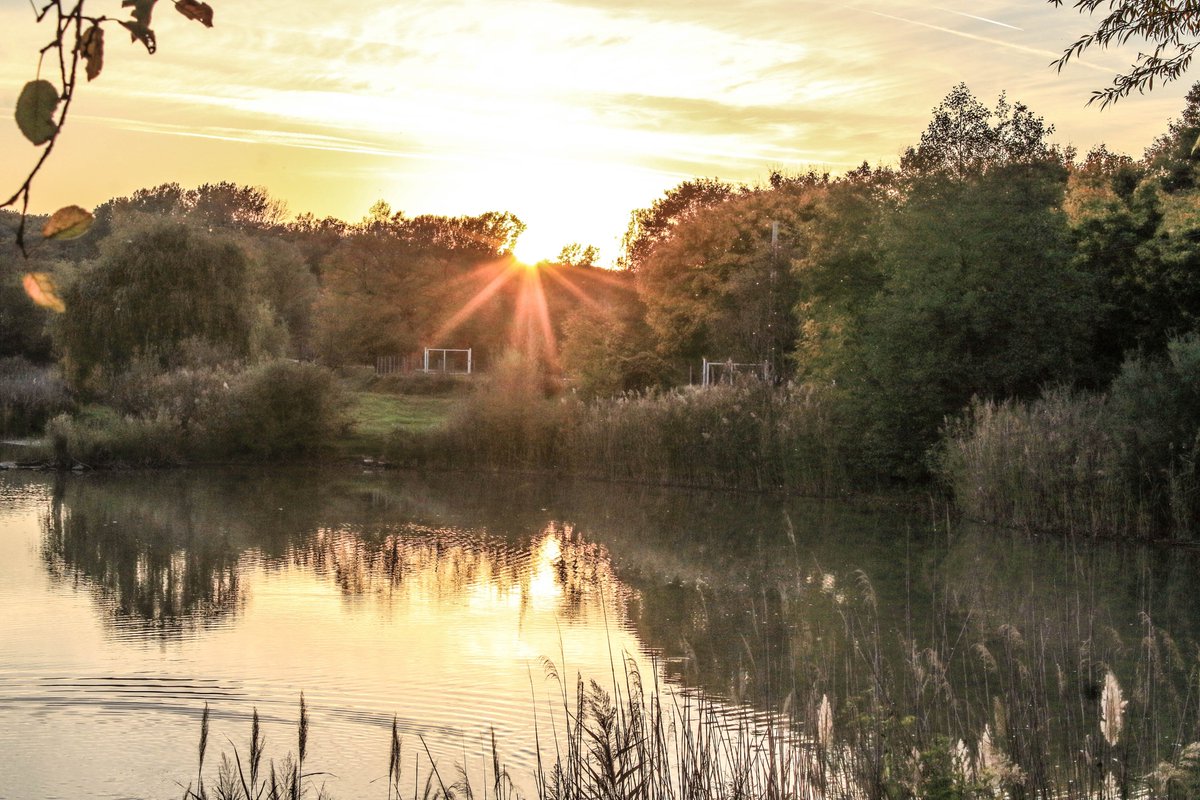 Biborrena's tweet photo. #landscapepainting #landscapes #SunshineWithMe #ducks #SEE #Autumn #Tree https://t.co/UgL4RYbBdj