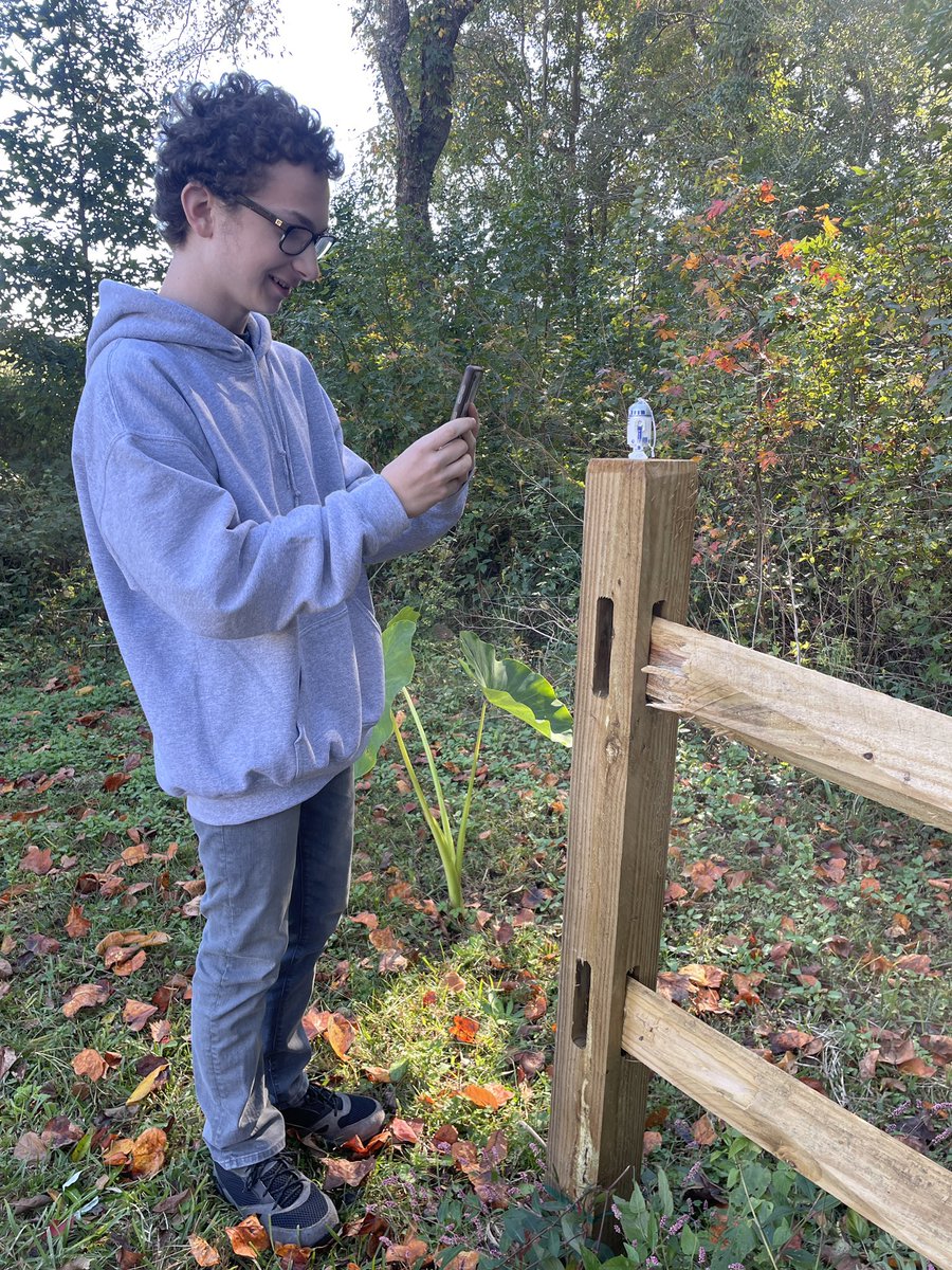 Jenny Proctor, NBCT tweet media