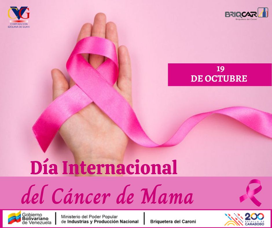 briqdcaroni_CVG's tweet photo. #190ct Día Internacional de la lucha contra el Cáncer de Mama #TocateParaQueNoTeToque https://t.co/oSYfFLL09R