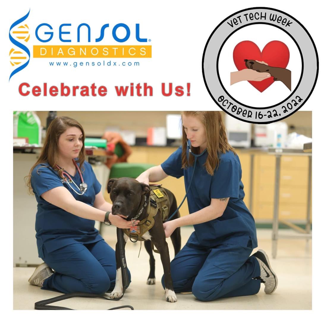 GenSolDiagnost1's tweet photo. Thanks to all the Vet Techs out there! You are appreciated! #dogbreeders #showdogs #showdogsofinstagram #gensoldx #dogshow #dog #puppy #cutedog #cutepuppy #adorable #doglover #doggo #allaboutdogs #pet #doglife #dogstagram #dogsofibsta #doggie @gensoldx https://t.co/MRp0PZoJZc