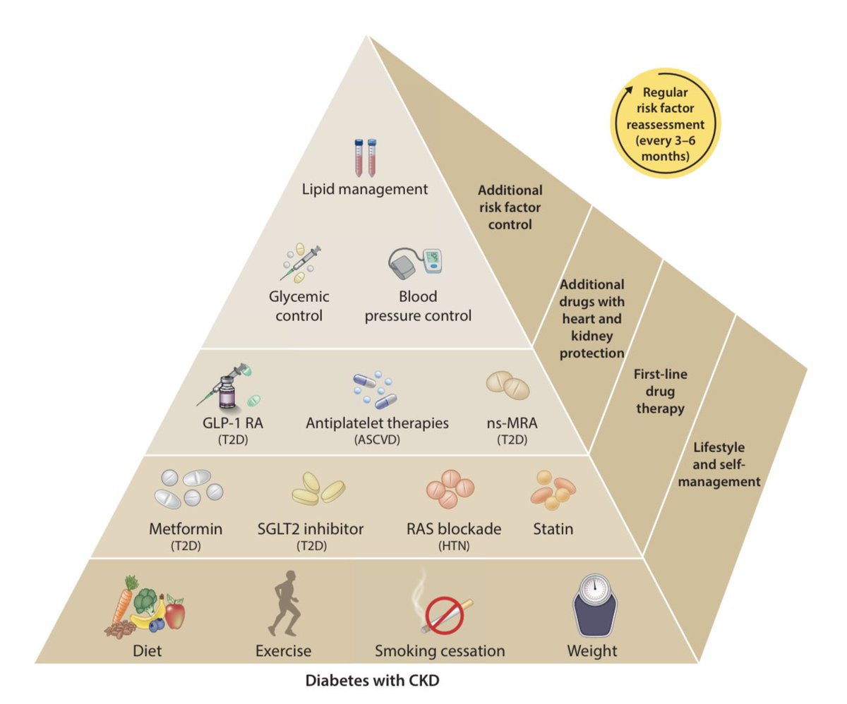 CristobMorales's tweet photo. https://t.co/PIezB04cFx KDIGO 2022 CLINICAL PRACTICE GUIDELINE FOR DIABETES MANAGEMENT IN CHRONIC KIDNEY DISEASE @goKDIGO @jlgorriz @jorgericof @nuriaareste @sociedadSEEN @SENefrologia https://t.co/y809nGZdyI