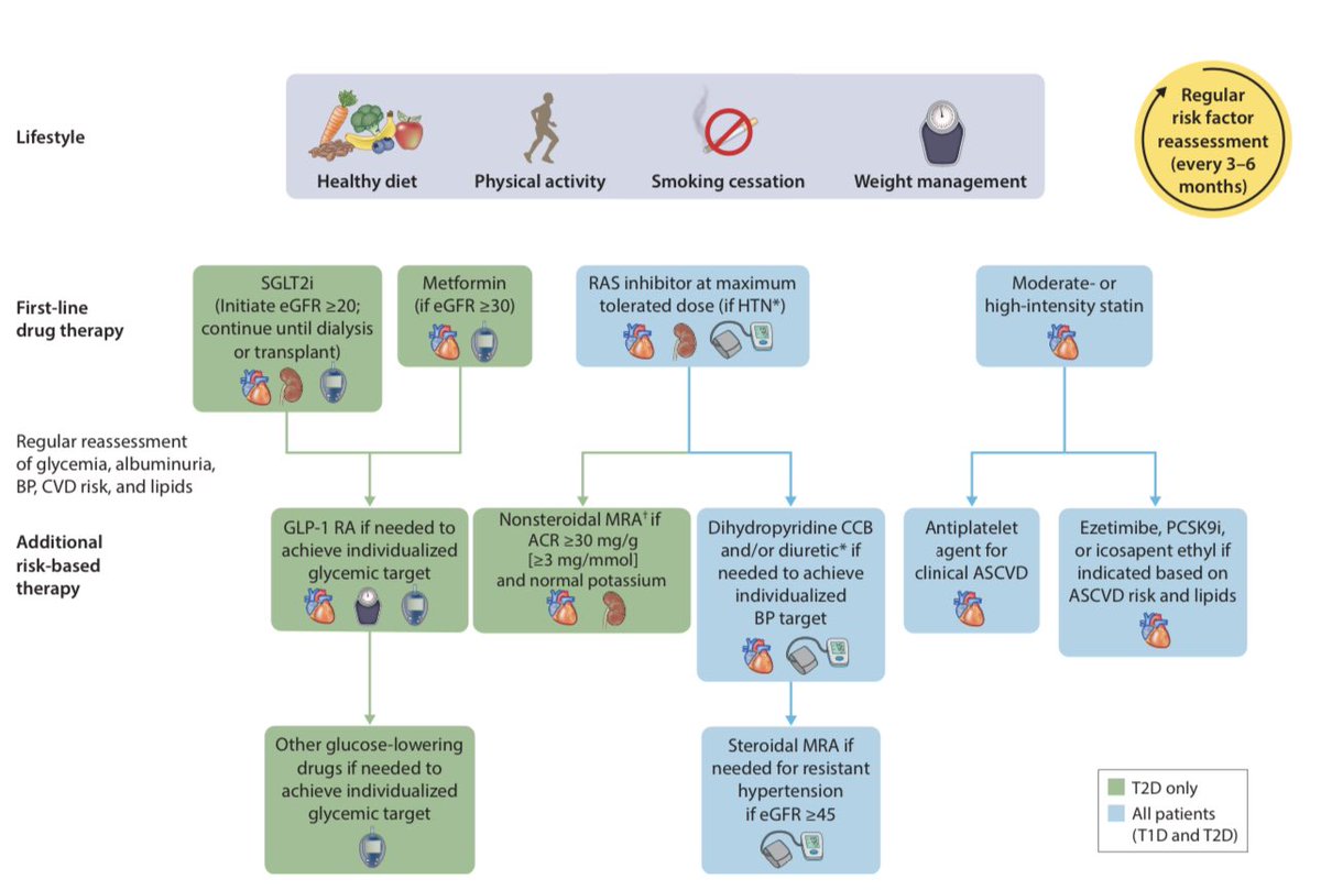 CristobMorales's tweet photo. https://t.co/PIezB04cFx KDIGO 2022 CLINICAL PRACTICE GUIDELINE FOR DIABETES MANAGEMENT IN CHRONIC KIDNEY DISEASE @goKDIGO @jlgorriz @jorgericof @nuriaareste @sociedadSEEN @SENefrologia https://t.co/y809nGZdyI