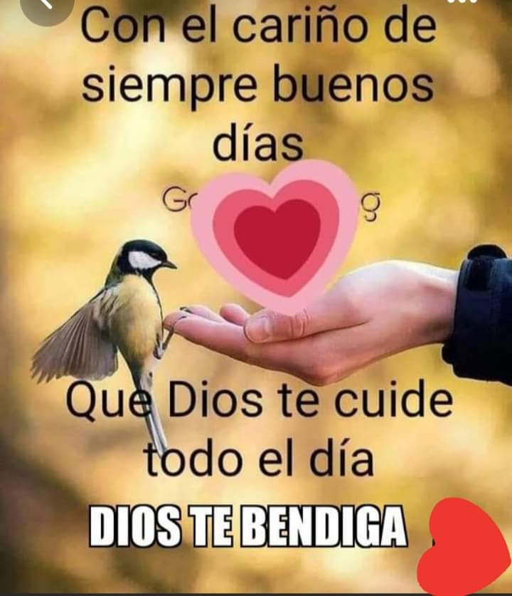 Silvia Aniceto Martinez (@aniceto_silvia) on Twitter photo 
