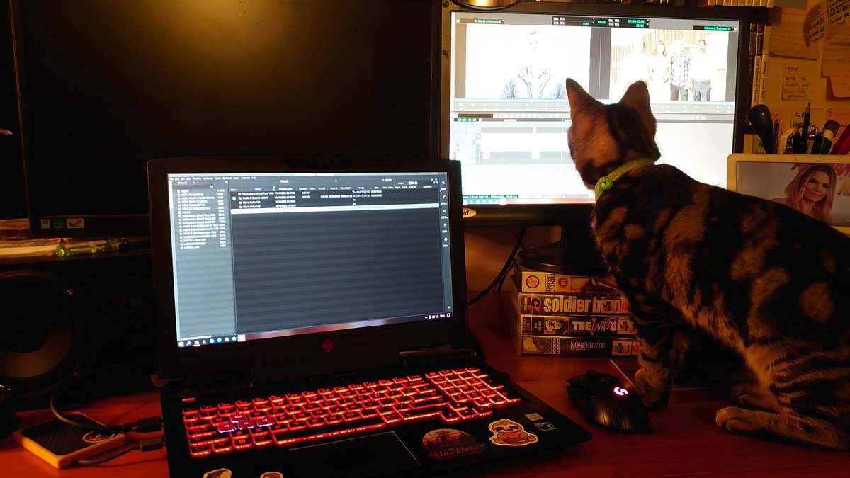 willowspuppy's tweet photo. Cats
Not great for editing productivity
#postchat
#postcat https://t.co/dZglB5rDv4