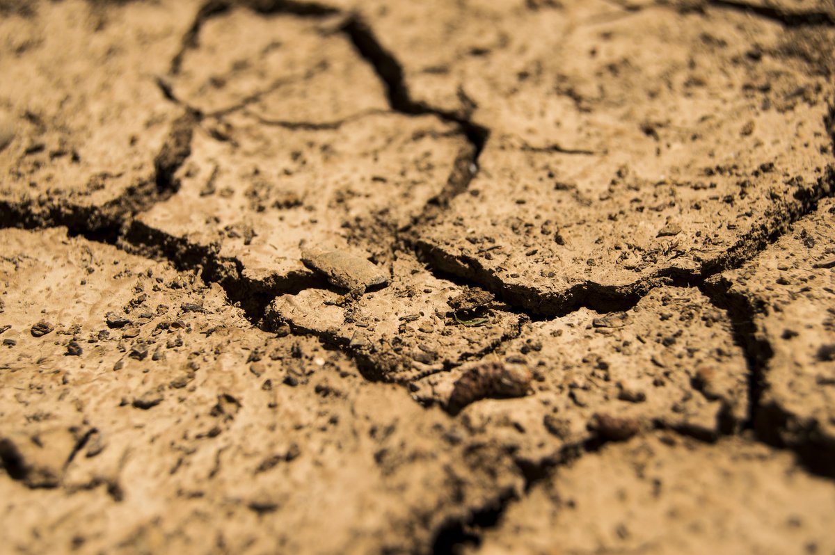 OxfordSparks's tweet photo. 🎙️ "Why is the UK still in a drought?" 💧

We chat to @MurgatroydAnna to find out what characterises a #drought, why we're in one &amp; how we can maintain access to a safe &amp; reliable #water source into the future.

@OPSIS_Oxford @ecioxford @oxfordgeography

https://t.co/tcpvhRnr0A https://t.co/98eDU81elG