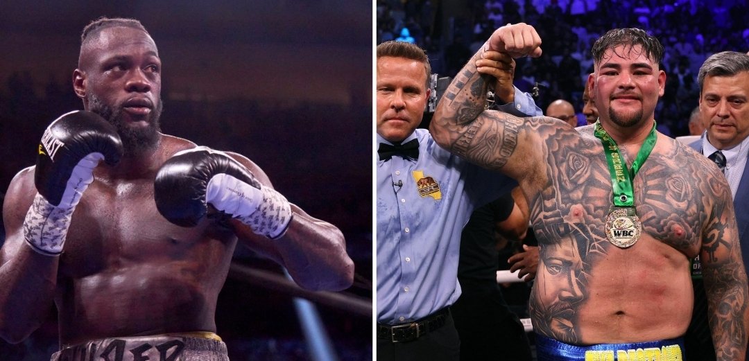 Aiy_fight's tweet photo. WBC President Mauricio Suleiman (@wbcmoro) has confirmed that they will order Wilder V Ruiz as a final eliminator for their belt held by Fury!
.

#wilderruiz #wbcboxing #heavyweight #deontaywilder #champion #fightnews #boxingnews #fighters #deontaywilder #bombsquad #bronzebomber https://t.co/GBlgIeGxwB