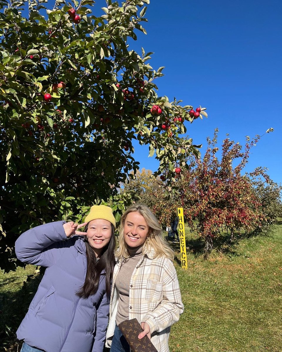 MayoGradSchool's tweet photo. Students of our Pharmacology track going after apples at the Sekapp Orchard 🍎🍏🍎🍁🍂🍂🍂🍂😊😊
#mayogradschool #researchexcellence https://t.co/csdCF8BBlX