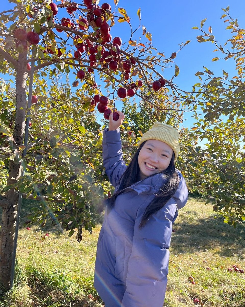MayoGradSchool's tweet photo. Students of our Pharmacology track going after apples at the Sekapp Orchard 🍎🍏🍎🍁🍂🍂🍂🍂😊😊
#mayogradschool #researchexcellence https://t.co/csdCF8BBlX