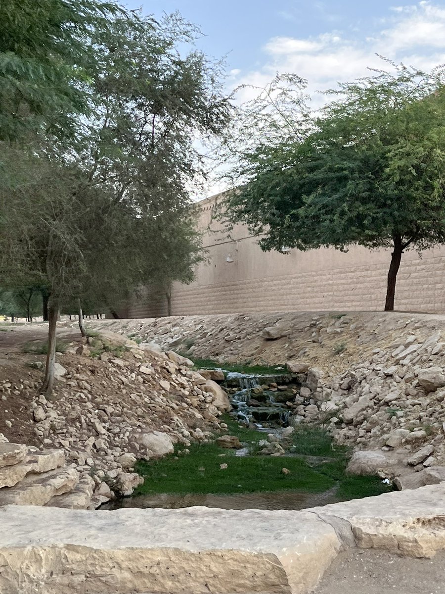rzaid0's tweet photo. شاكرة للدعوة وسعيدة لتلبيتها💚.
#ملتقى_الحياد_الكربوني https://t.co/0xDT4LxKAF