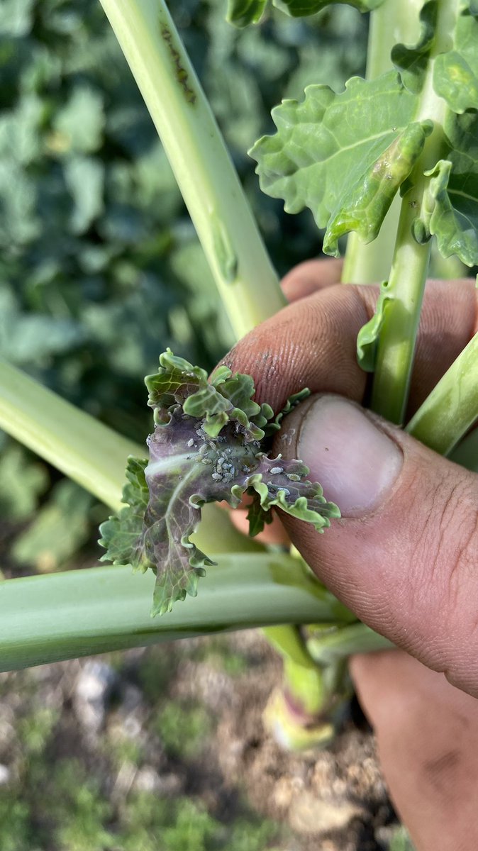 #zaza vu de loin, et vu de près 🧐