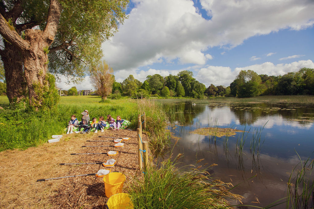 BirrCastle's tweet photo. Our Autumn Biodiversity Day is happening this Saturday 🪲
30% discount off of General Admission for the event. 
Use code: BCDBD at checkout. Only valid on prepurchased tickets online. 

For full details and to book see https://t.co/71JuGHowHv 

#autumnbiodiversityday #sfi https://t.co/lygER6Z5HK