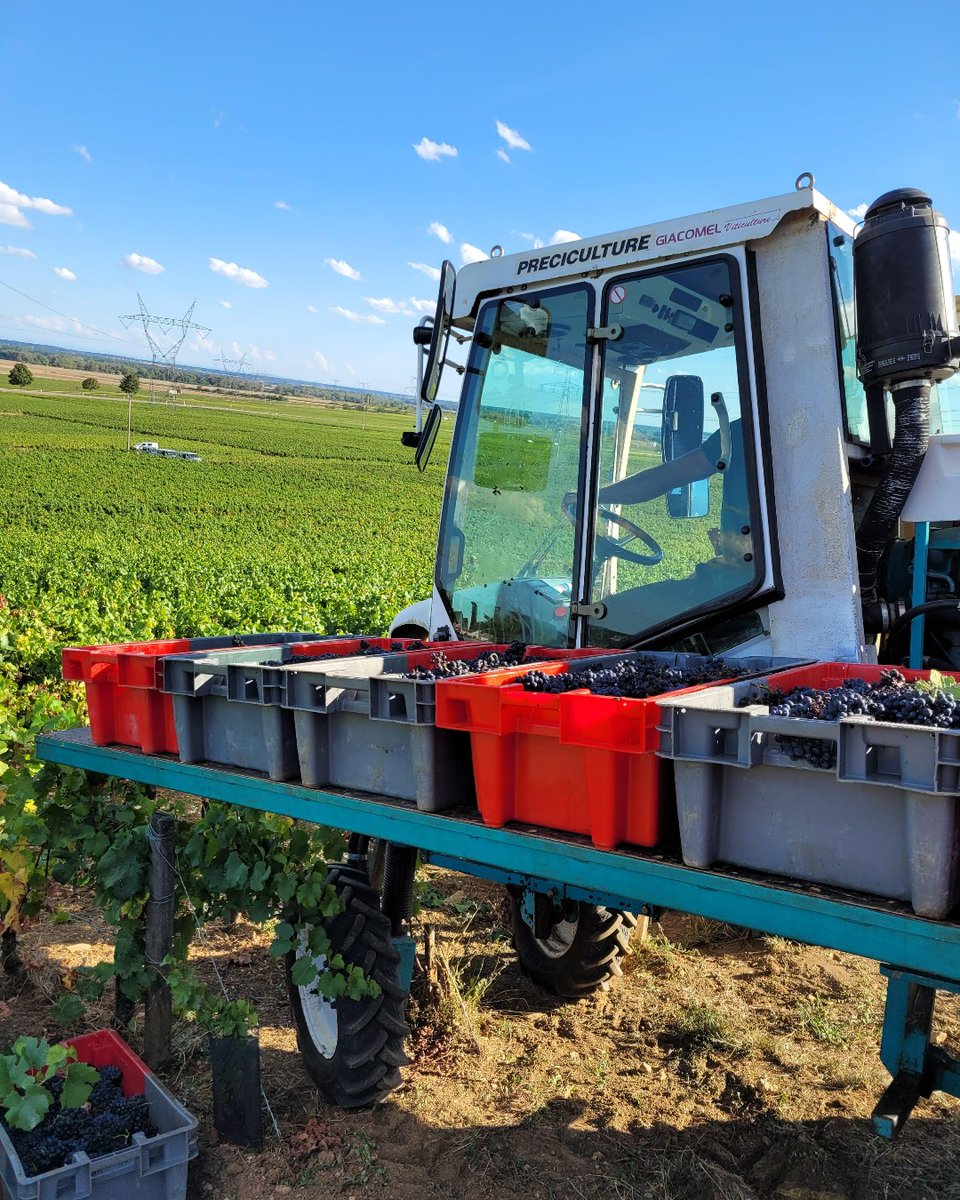 Stannary_Wine's tweet photo. In antithesis to last year's frosts and hailstorms, the 2022 vintage has seen heatwaves and early harvests. We now look back at the 2022 harvest from our Burgundy producers. The region escaped the hottest weather this year, producing excellent yields in quality and quantity. https://t.co/eUicRSH8bn