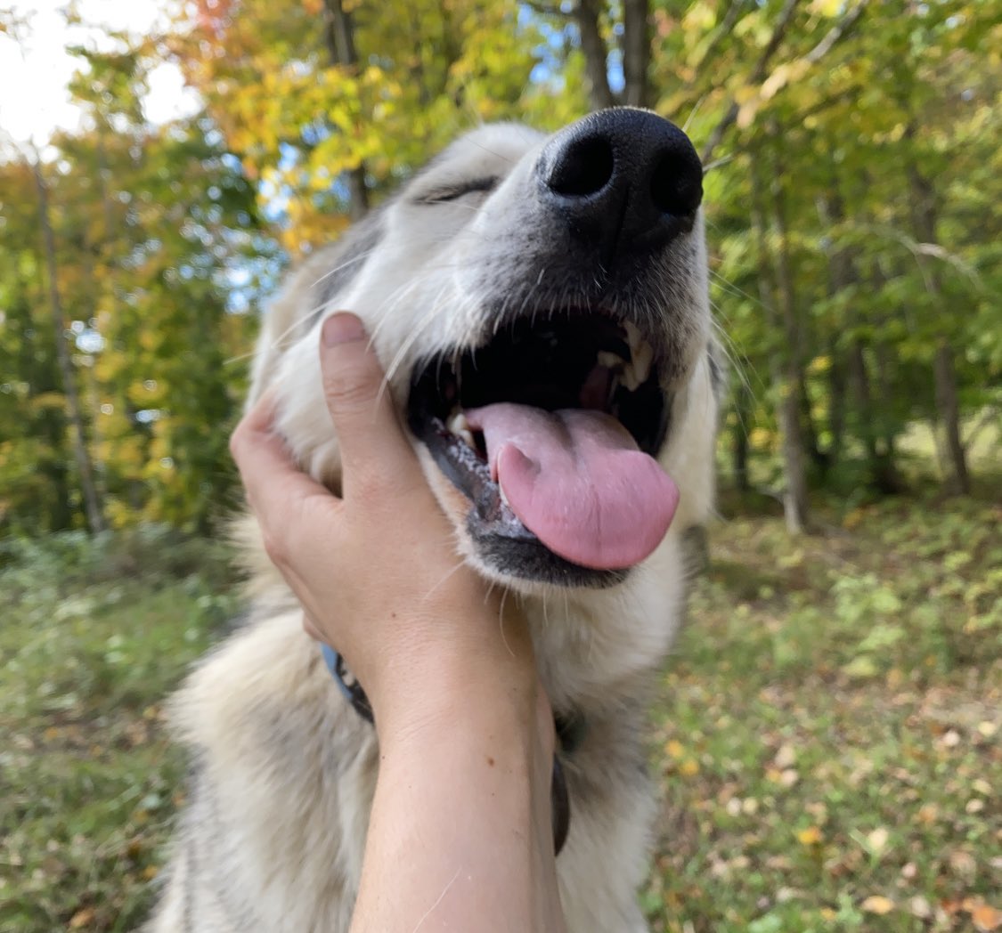 This week our little Lima learned an important lesson.