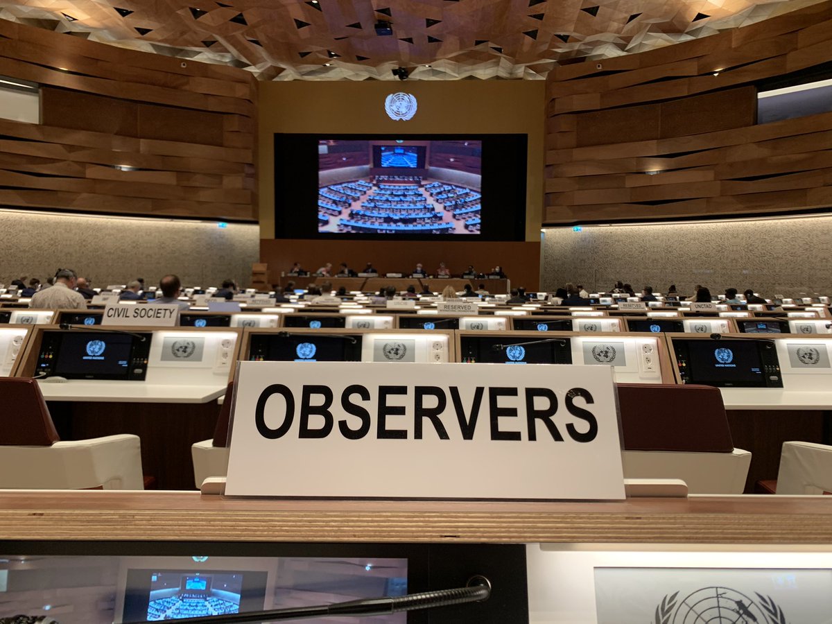 The @99Organisation spoke at the @UN #Tax Committee 25th Session on Environment Tax and the need to tax #externalities to level the competitive playing field for ethical companies who are currently penalised for doing the right thing and paying their #fairshare @MrMarkEThomas