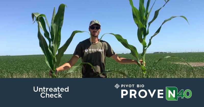 pivotbio's tweet photo. Ready to turn to a better nitrogen? Download our performance report to see what Pivot Bio PROVEN 40 could do for your operation.