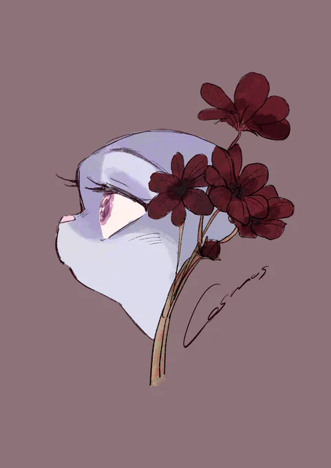 20コスモス過ぎてしまった #推しとお花を描く暮らし 