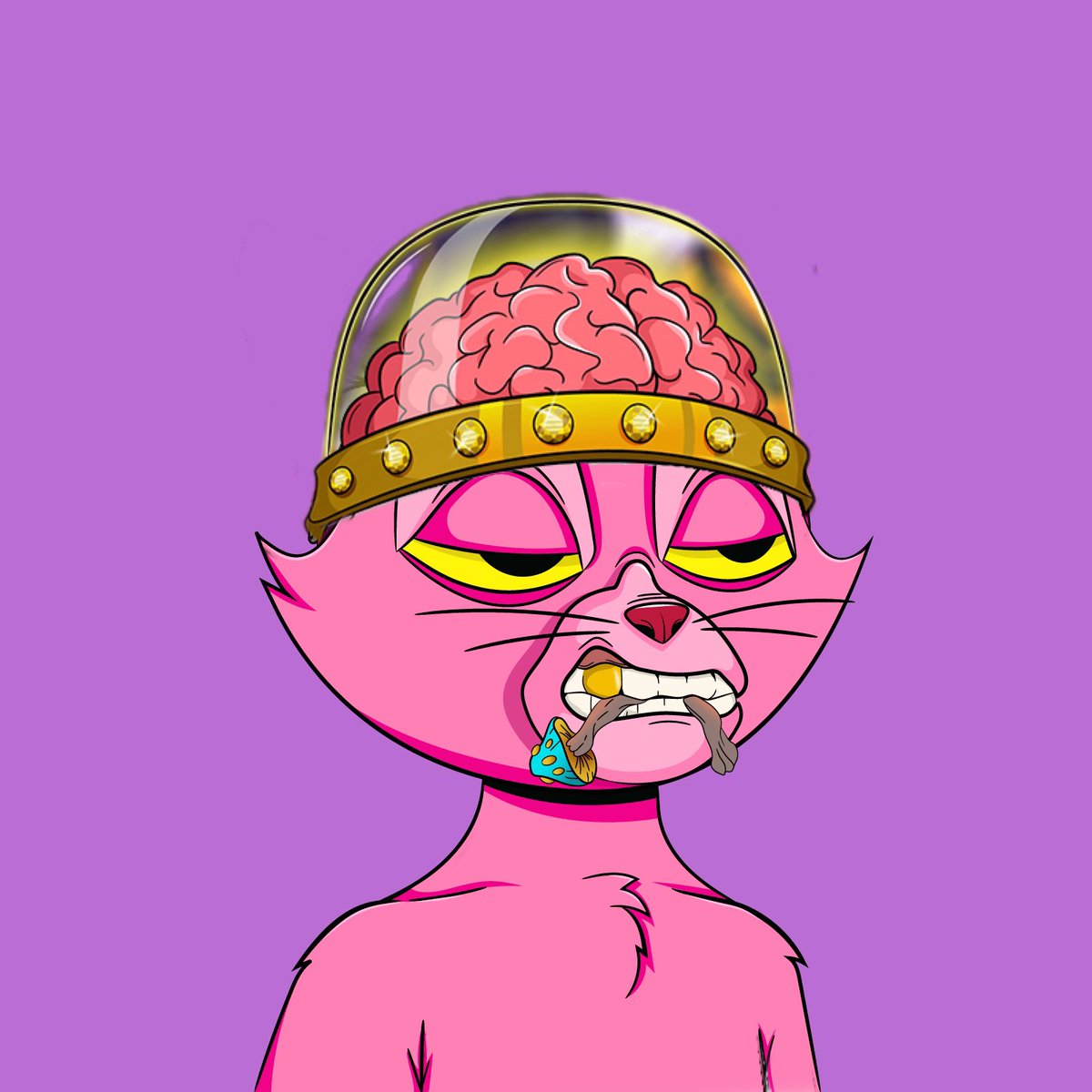 CB 🟩🍟🦠 tweet media