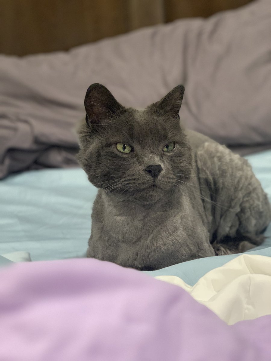 //mine looks a little goofy