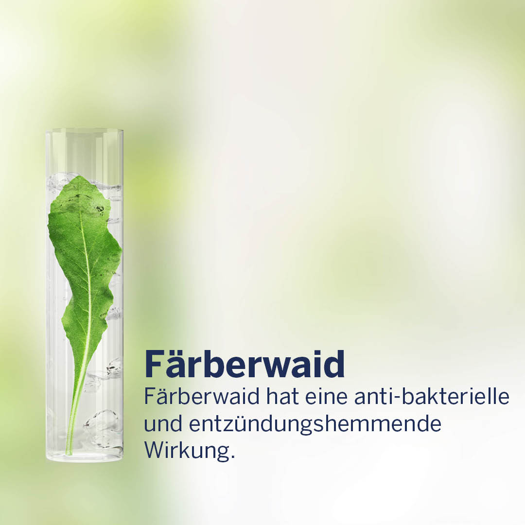 Dermasence's tweet photo. Beanspruchte, zu #Neurodermitis neigende Haut benötigt besonders wirkungsvolle Pflege. #Färberwaid, #AloeVera und grüner Tee sind speziell für besonders trockene, entzündliche Haut geeignet. 🌿 Entdecke hier die Details zu den einzelnen Wirkstoffen. 💚 #DERMASENCE https://t.co/BFofKRNstu