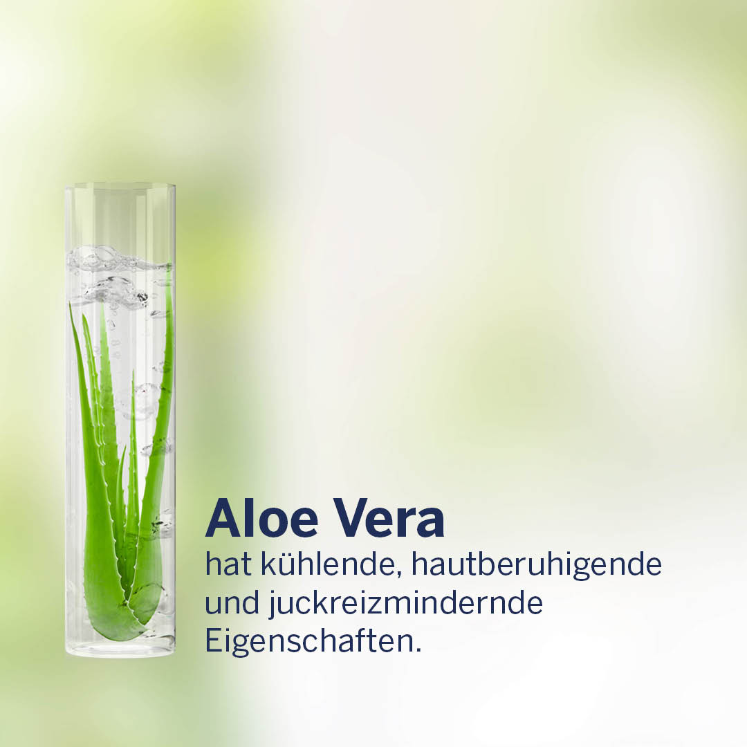 Beanspruchte, zu #Neurodermitis neigende Haut benötigt besonders wirkungsvolle Pflege. #Färberwaid, #AloeVera und grüner Tee sind speziell für besonders trockene, entzündliche Haut geeignet. 🌿 Entdecke hier die Details zu den einzelnen Wirkstoffen. 💚 #DERMASENCE