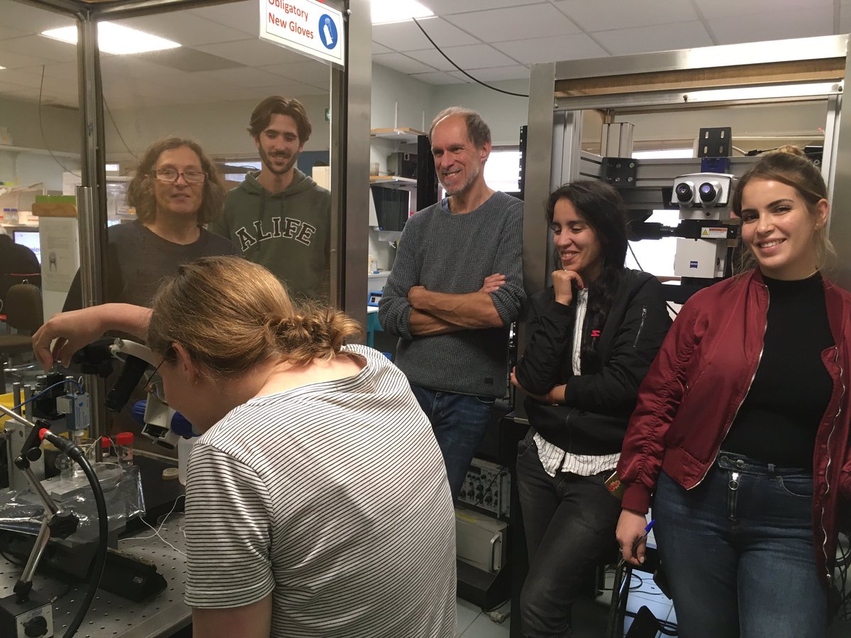 2 days of practical trainings on the @IPSiM4 EHEV platform for #IDIL_InLab Master students from @umontpellier: how to measure ion fluxes with selective microelectrodes? 
#Electrophysiology #IDIL_InLab_Teaching #PlantSciences