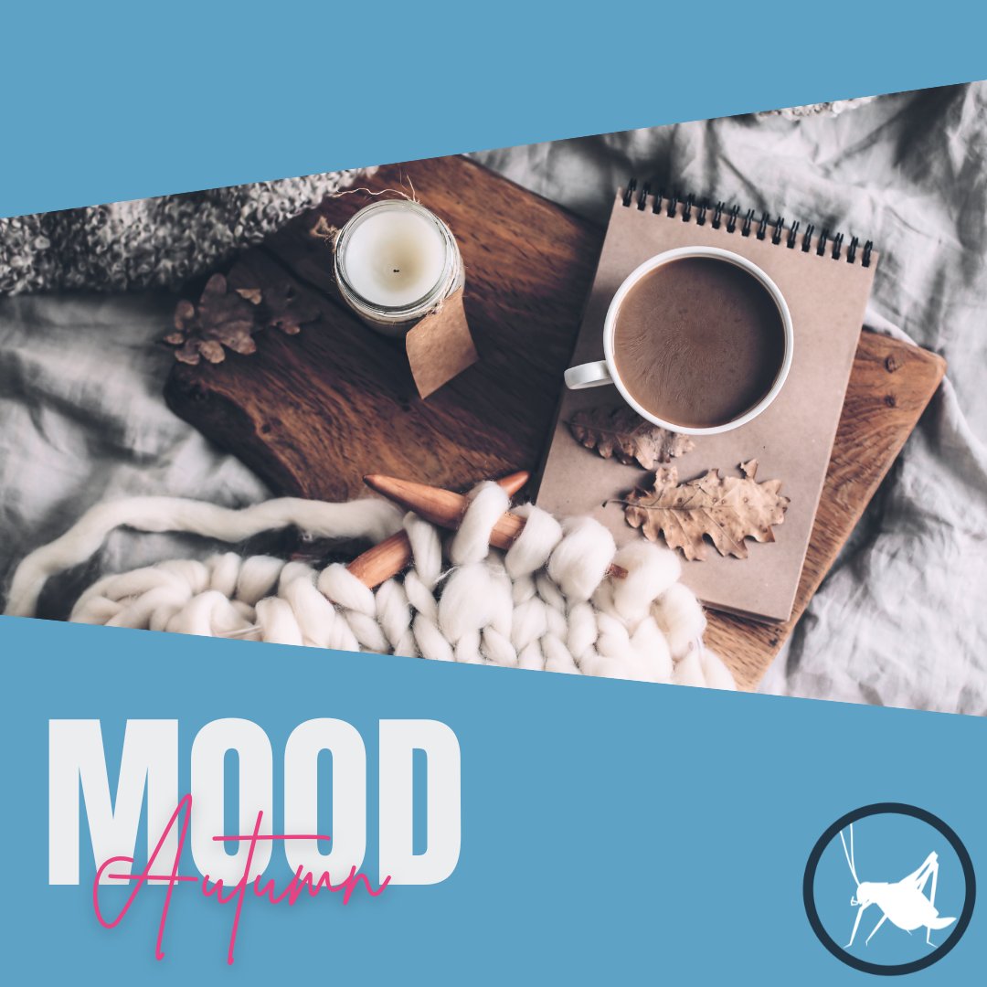 GetBlueCricket's tweet photo. #HappyWednesday!

One of the best parts of moving farther into the cozy months is how self-care can change with the season. Here are some cozy ideas to treat yourself today!

✨ Take a nap
✨ Visit a farmer's market
✨ Use a skin face mask

We hope you enjoy these tips!
#TeamBlue https://t.co/BecxlCOTZS