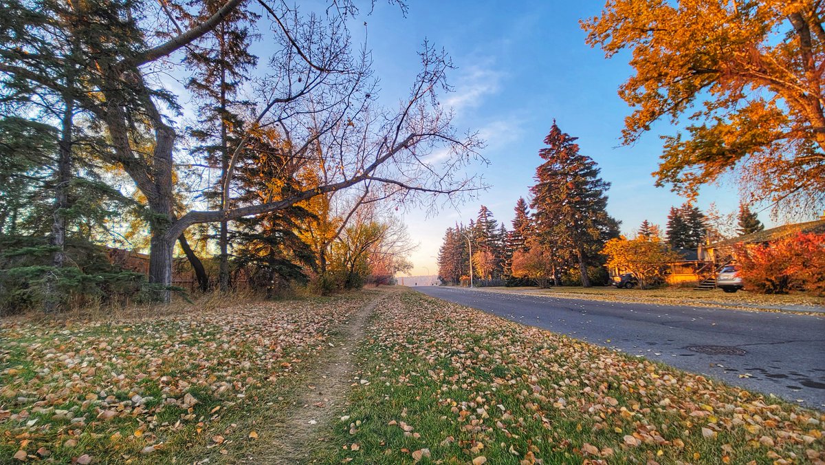 donnamct's tweet photo. Beautiful day in the 'hood. 
#yyc #UDLife 🍁🍂☀️ https://t.co/vjUHKTHUBR