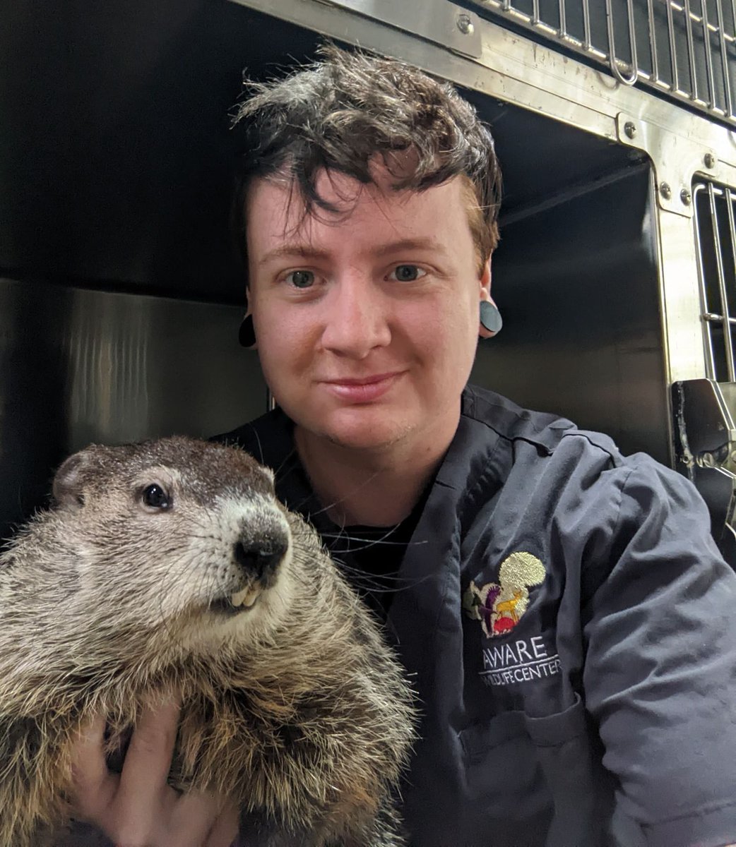 awarewildlife's tweet photo. We Need Your Help! - https://t.co/1hPzuvf3rx https://t.co/MZylIjl5An