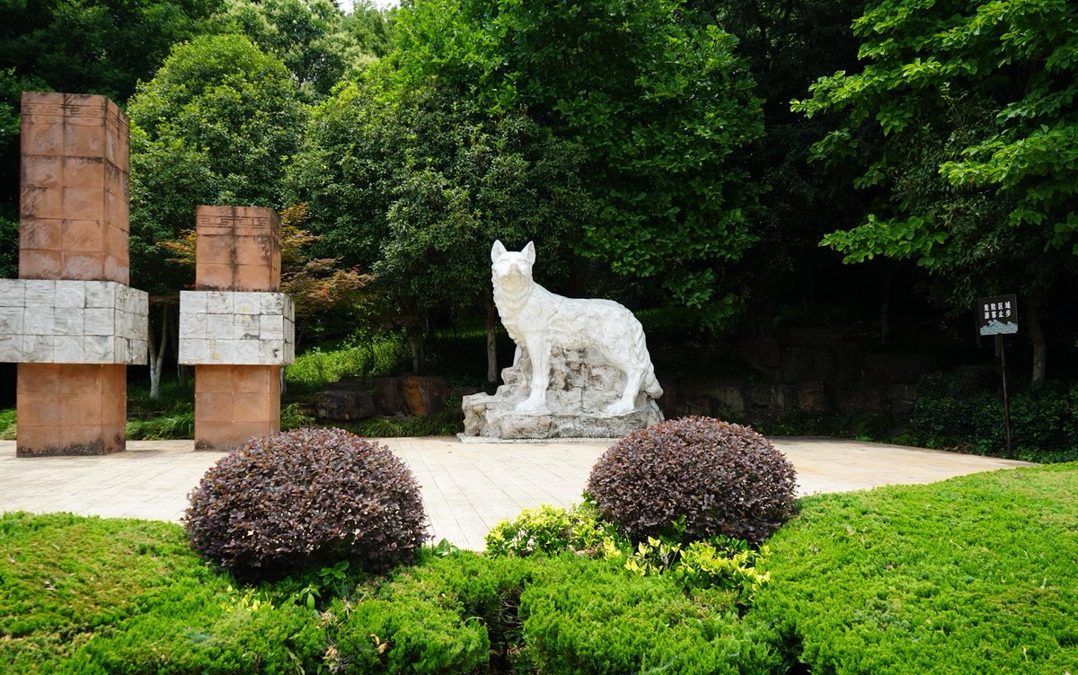 Explore Jiangsu tweet media